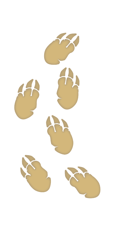 Six brown paw prints.